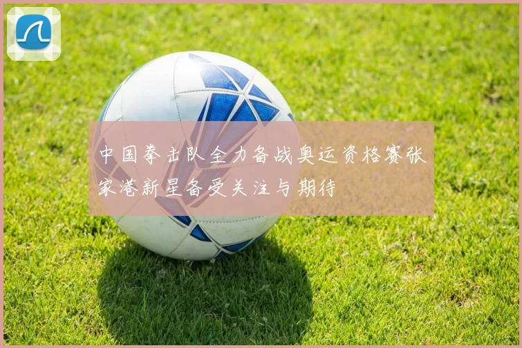 中国拳击队全力备战奥运资格赛张家港新星备受关注与期待
